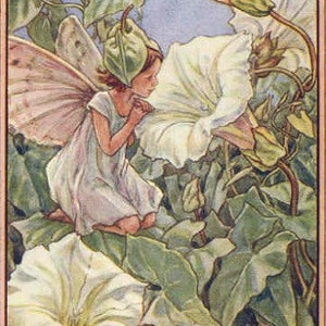The White Windweed Fairy - Kruissteekpatroon pdf-formaat Geleverd per e-mail Cicely Mary Barker Fairies kruissteek Bloemen kruissteek