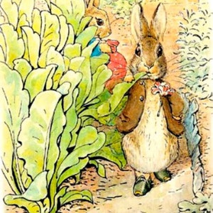 Peter Rabbit - Cross stitch pattern, pdf format, Delivered by email, Beatrix Potter, Nursery Decor cross stitch