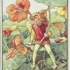 Oost-Indische kers - kruissteekpatroon, pdf-formaat, bezorgd per e-mail, Cicely Mary Barker, kruissteek feeën, kruissteek bloemen