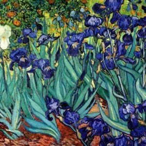 Irissen - kruissteekpatroon, pdf-formaat, bezorgd per e-mail, Vincent van Gogh, bloemen kruissteek, kunst kruissteek, bloem kruissteek