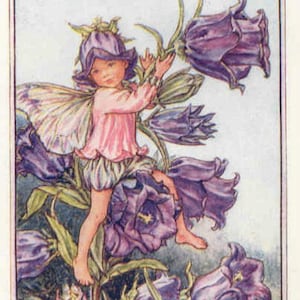 Canterbury Bell - Kruissteekpatroon, pdf-formaat, bezorgd per e-mail, Cicely Mary Barker, kruissteek feeën, kruissteek bloemen