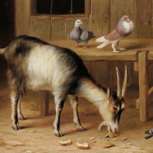 A Goat and Pigeons in a Farmyard - Cross stitch pattern pdf format Delivered by email Edgar Hunt Animals cross stitch