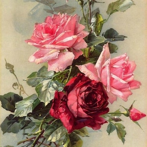 Zomergeur - kruissteekpatroon, pdf-formaat, bezorgd per e-mail, Catherine Klein, kruissteek bloemen, kruissteek rozen, kruissteek rozen