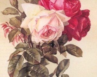 Roses - Cross stitch pattern, pdf format, Delivered by email, Paul de Longpre, Flowers cross stitch, Roses cross stitch