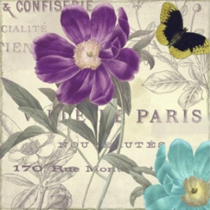 Petals of Paris II - kruissteekpatroon, pdf-formaat, bezorgd per e-mail, kruissteek bloemen, moderne kruissteek