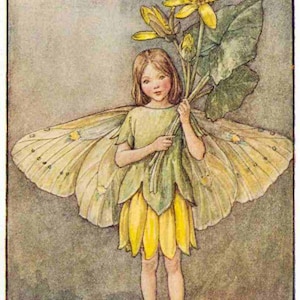 De stinkende gouwe - kruissteekpatroon, pdf-formaat, bezorgd per e-mail, Cicely Mary Barker, kruissteek feeën, kruissteek bloemen