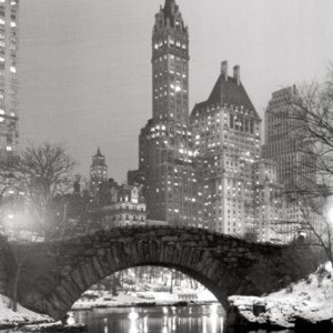 Central Park - Cross stitch pattern, pdf format, Delivered by email, Black and white cross stitch, Cross stitch black and white