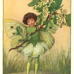The May Fairy - kruissteekpatroon, pdf-formaat, geleverd per e-mail, Cicely Mary Barker, kruissteek feeën, kruissteek bloemen