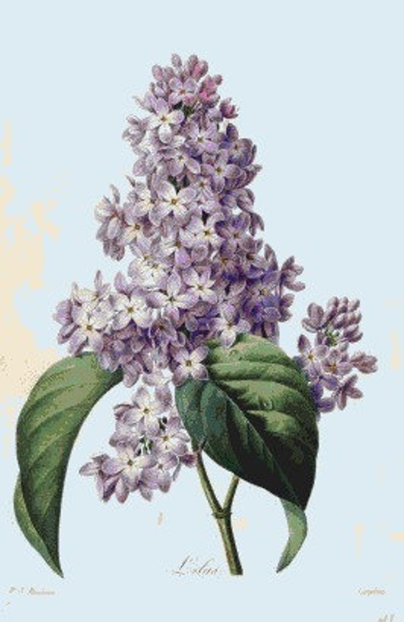 Lilacs Cross stitch pattern pdf format Delivered by email This is not a kit image 2