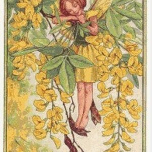 Laburnum Cross Stitch Pattern Pdf Format - Etsy UK