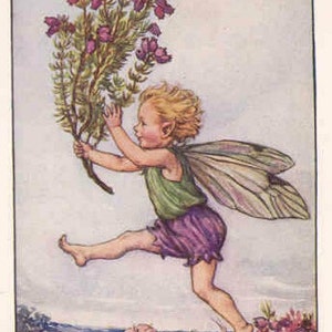 Gemêleerd - kruissteekpatroon, pdf-formaat, geleverd per e-mail, Cicely Mary Barker, kruissteek feeën, kruissteek bloemen
