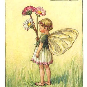 The Daisy Fairy - kruissteekpatroon, pdf-formaat, geleverd per e-mail, Cicely Mary Barker, kruissteek feeën, kruissteek bloemen