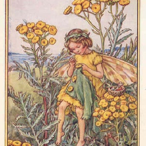 The Boerenwormkruid - kruissteekpatroon, pdf-formaat, bezorgd per e-mail, Cicely Mary Barker, kruissteek feeën, kruissteek bloemen