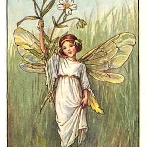 The Stitchwort Fairy - Kreuzstichmuster, PDF-Format, per E-Mail geliefert, Cicely Mary Barker, Blumen Kreuzstich, Feen Kreuzstich