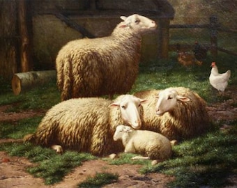 Sheeps and Lamb - Cross stitch pattern pdf format