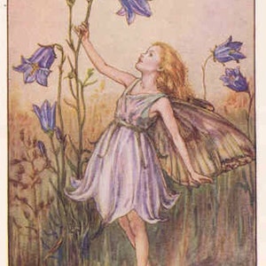Grasklokje: kruissteekpatroon, pdf-formaat, bezorgd per e-mail, Cicely Mary Barker, kruissteek feeën, kruissteek bloemen