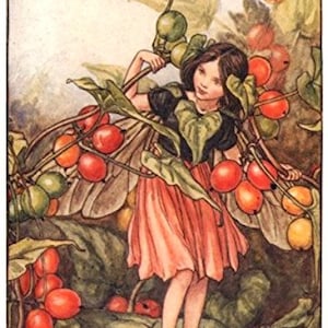 The Black Bryony Fairy - kruissteekpatroon, pdf-formaat, geleverd per e-mail, Cicely Mary Barker, kruissteek feeën, kruissteek bloemen