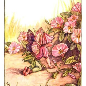 The Convolvulus Fairy - kruissteekpatroon, pdf-patroon, bezorgd per e-mail, Cicely Mary Barker Fairies kruissteek, kruissteek bloemen