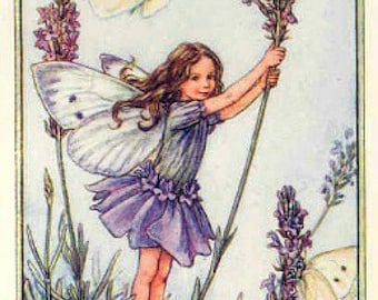 The Lavender Fairy - Cross stitch pattern, pdf format, Delivered by email, Cicely Mary Barker, Fairies cross stitch, Flowers cross stitch