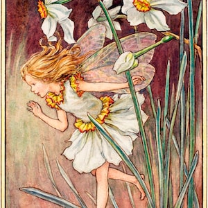 De narcissenfee - kruissteekpatroon, pdf-formaat, geleverd per e-mail, Cicely Mary Barker, kruissteek feeën, kruissteek bloemen