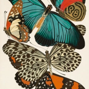 Butterfly Collection II - Cross stitch pattern, pdf format, Delivered by email, Animals cross stitch, Butterfly cross stitch