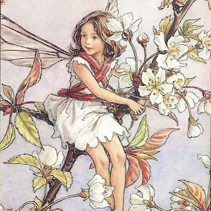 The Wild Cherry Blossom Fairy - kruissteekpatroon, pdf-formaat, geleverd per e-mail, feeën kruissteek kruissteek kruissteek kruissteek bloemen