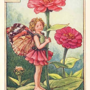 Zinnia - Kruissteekpatroon, pdf-formaat, geleverd per e-mail, Cicely Mary Barker, kruissteek feeën, kruissteek bloemen
