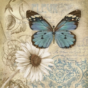 Butterfly Garden II - Kruissteekpatroon, pdf-formaat, bezorgd per e-mail, kruissteek vlinders, kruissteek bloemen