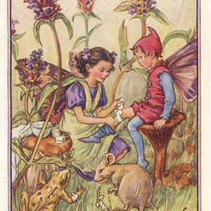 The Self-Heal Fairy - kruissteekpatroon, pdf-formaat, geleverd per e-mail, Cicely Mary Barker, kruissteek feeën, kruissteek bloemen
