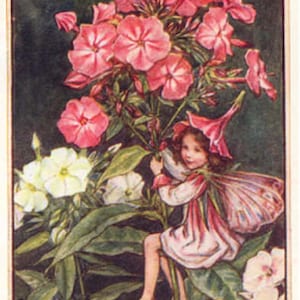 The Phlox Fairy - kruissteekpatroon, pdf-formaat, geleverd per e-mail, Cicely Mary Barker, kruissteek feeën, kruissteek bloemen