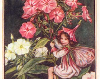 The Phlox Fairy - Cross stitch pattern pdf format