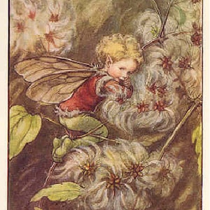 The Old-Man's-Beard Fairy - Kruissteekpatroon pdf-formaat Geleverd per e-mail Cicely Mary Barker Fairies kruissteek Bloemen kruissteek