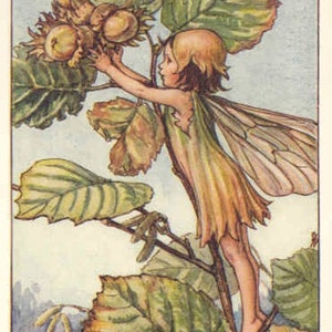 Hazelnoot: kruissteekpatroon, pdf-formaat, bezorgd per e-mail, Cicely Mary Barker, kruissteek feeën, kruissteek bloemen
