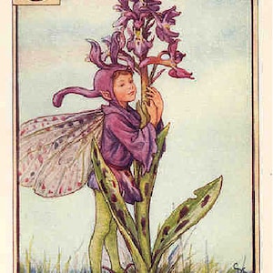 Orchis Fairy - Kruissteekpatroon, pdf-formaat, Geleverd per e-mail, Dit is geen pakket, Cicely Mary Barker, kruissteekpatroon feeën