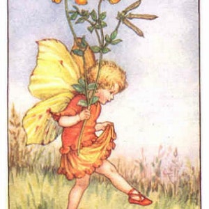 Kreuzstich Stickmuster Pdf-Format per email geliefert, Cicely Mary Barker, Feen Kreuzstich Stickmuster