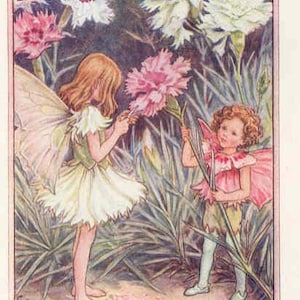 The Pink Fairies - kruissteekpatroon, pdf-formaat, geleverd per e-mail, Cicely Mary Barker, kruissteek feeën, kruissteek bloemen