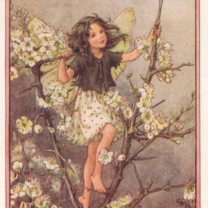 Sleedoorn - kruissteekpatroon, pdf-formaat, bezorgd per e-mail, Cicely Mary Barker, kruissteek feeën, kruissteek bloemen