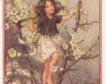 Blackthorn - Cross stitch pattern, pdf format, Delivered by email, Cicely Mary Barker, Fairies cross stitch, Flowers cross stitch