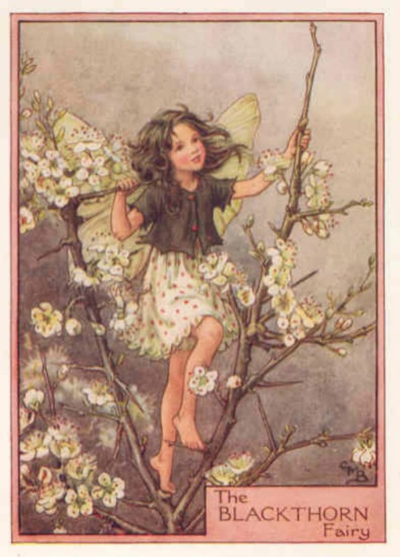 Blackthorn  Cross stitch pattern pdf format image 1