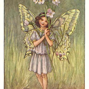 The Lady's Smock Fairy - kruissteekpatroon, pdf-formaat, geleverd per e-mail, Cicely Mary Barker, kruissteek feeën, kruissteek bloemen