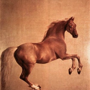Whistlejacket - Cross stitch pattern, pdf format, Delivered by email, George Stubbs, Animals cross stitch, Horses cross stitch