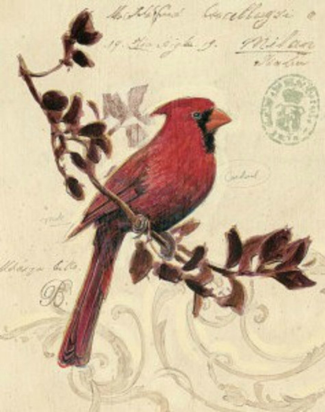 Cardinal - Cross Stitch Pattern, Pdf Format, Delivered by Email ...