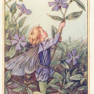De maagdenpalm - kruissteekpatroon, pdf-formaat, geleverd per e-mail, Cicely Mary Barker, kruissteek feeën, kruissteek bloemen