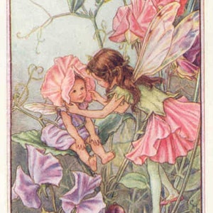 Sweet Pea - kruissteekpatroon, pdf-formaat, bezorgd per e-mail, Cicely Mary Barker, kruissteek feeën, kruissteek bloemen