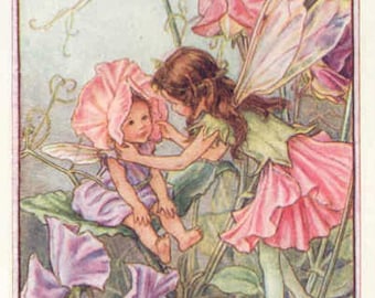 Sweet Pea - Cross stitch pattern, pdf format, Delivered by email, Cicely Mary Barker, Fairies cross stitch, Flowers cross stitch
