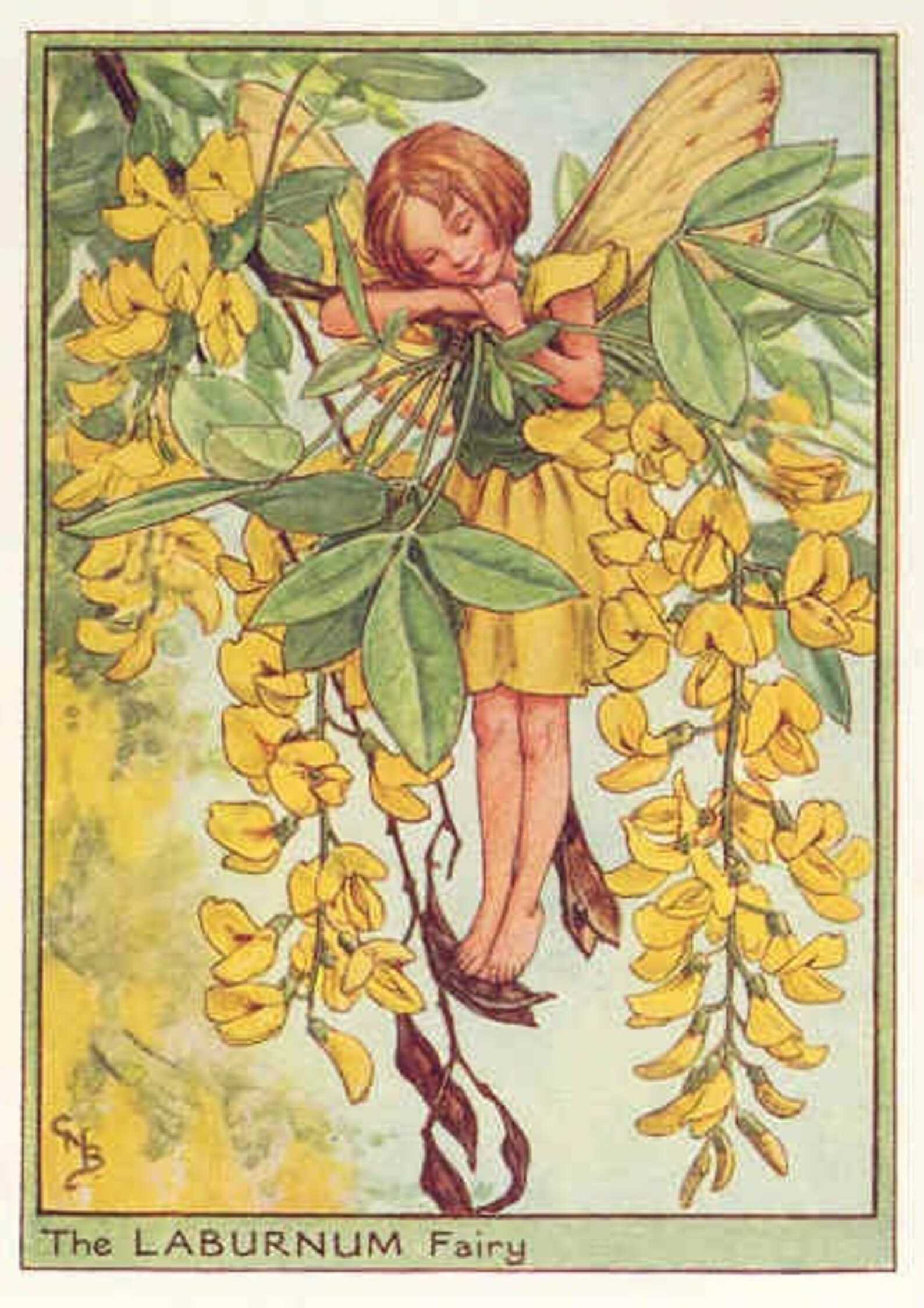 Laburnum - Cross Stitch Pattern, Pdf Format, Delivered by Email, Cicely ...