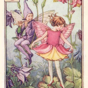 The Columbine Fairy - kruissteekpatroon, pdf-formaat, geleverd per e-mail, Cicely Mary Barker, kruissteek feeën, kruissteek bloemen