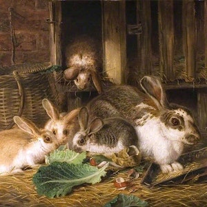Five Rabbits - Cross stitch pattern, pdf format, Delivered by email, Alfred Richardson Barber, Animals cross stitch, Rabbits cross stitch