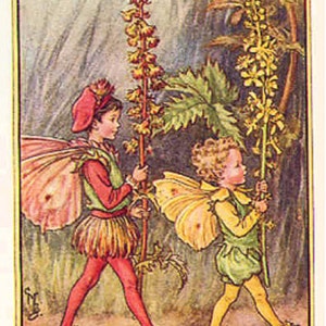 The Agrimony Fairies - kruissteekpatroon, pdf-formaat, geleverd per e-mail, Cicely Mary Barker, kruissteek feeën, kruissteek bloemen