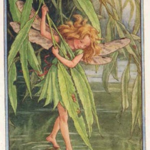 The Willow Fairy - kruissteekpatroon, pdf-formaat, geleverd per e-mail, Cicely Mary Barker, kruissteek feeën, kruissteek bloemen